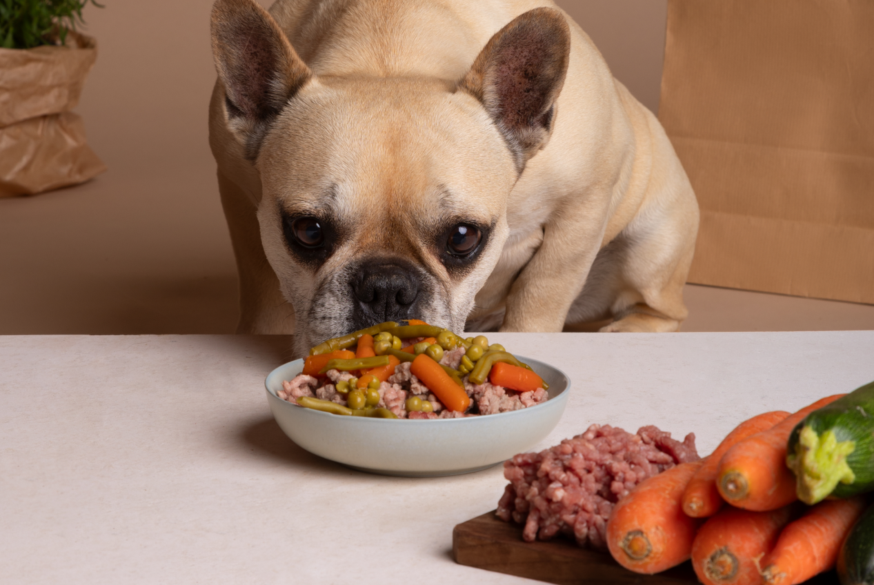 fibras-para-saude-intestinal-pets 